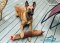 *Argo Playing with Huge Leather Bite Tug with 2 Handles for Belgian Malinois