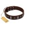 "War Chief" FDT Artisan Genuine Brown Leather Dog Collar with Skulls and Plates