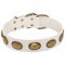 White Leather Dog Collar with Brass Plates for Walking