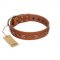"Star Shine" Exclusive FDT Artisan Tan Leather Dog Collar with Silver-Like Adornments