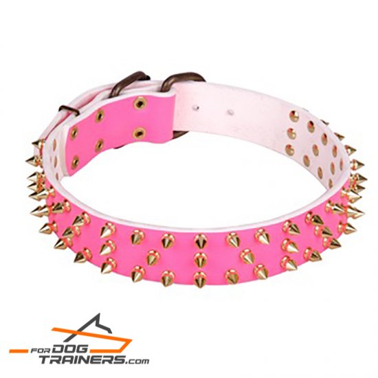 "Pick Happiness" Leather Dog Collar with Brass Studs