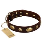 "Hebe's Jewel" FDT Artisan Brown Genuine Leather Dog Collar