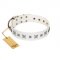 "Fashion Star" FDT Artisan White Leather Dog Collar with Silver-Like Engraved Plates and Stars