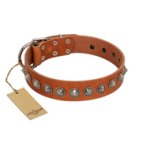 "Silver Spike" Handmade FDT Artisan Tan Leather Dog Collar with Old Silver-Like Spikes