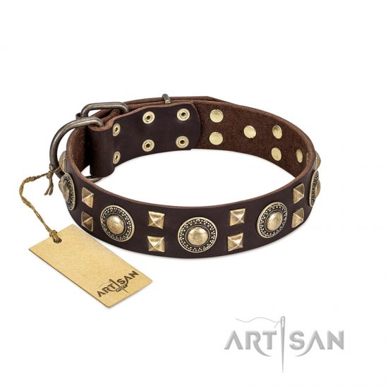 "Chocolate Dream" FDT Artisan Best Brown Leather Dog Collar with Old Silver-Like Decorations