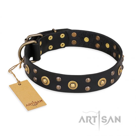 "Cosmic Glow" FDT Artisan Black Leather Dog Collar with Brass-Plated Studs