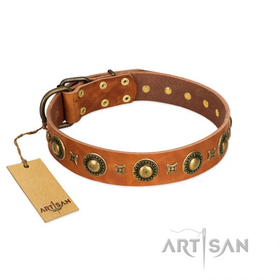 "Gorgeous Look" FDT Artisan Beautiful Natural Leather Dog Collar with Brass Decorations