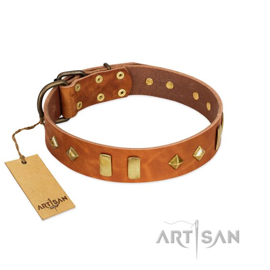 "Woofy Dawn" FDT Artisan Tan Leather Dog Collar with Plates and Rhombs
