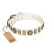 ﻿"Bowwow Finery" FDT Artisan White Leather Dog Collar with Gold-Like Embellishments