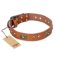 'Stunning Dress' FDT Artisan Tan Leather Dog Collar with Old Bronze Look Plates and Studs - 1 1/2 inch (40 mm) wide