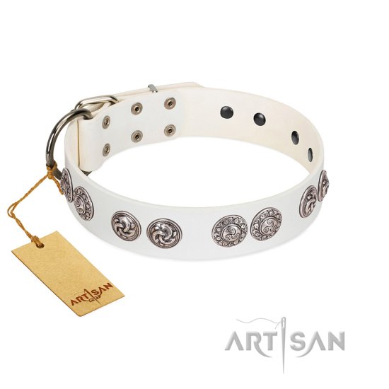 "Eye Candy" Appealing FDT Artisan White Leather Dog Collar with Chrome Plated Medallions