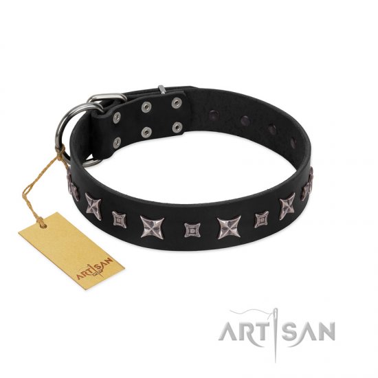 "Polar Lights" Designer FDT Artisan Black Leather Dog Collar with Silver-Like Studs