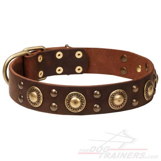 "Space-like" Leather Dog Collar with Brass Decoration