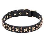 "Hollywood Star" Leather Dog Collar with Stars and Pyramids 1 1/4 inch (30 mm) Wide