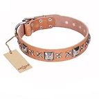 "Glamour Finery" FDT Artisan Female dog collar of natural leather with stylish old-looking circles