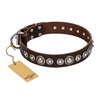 "Step and Sparkle" FDT Artisan Glamorous Studded Brown Leather Dog Collar