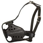 New Design Hard Leather Dog Muzzle for Service Dogs