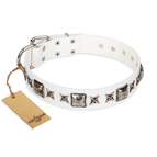 'Intergalactic Travelling' FDT Artisan Handcrafted White Leather Dog Collar