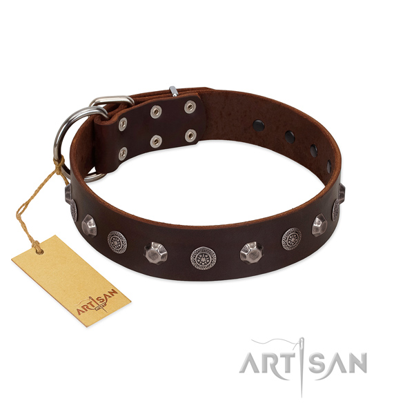 Fabulous FDT Artisan leather dog collar