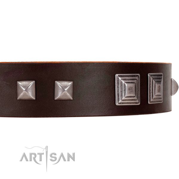 FDT Artisan brown leather dog collar with square studs and pyramids