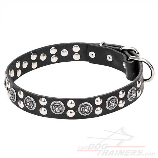 Decorated Leather Dog Collar for Stylish Walks