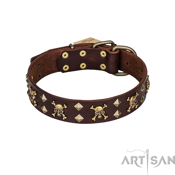 Brown Dog Collar with Brass Plated Fittings