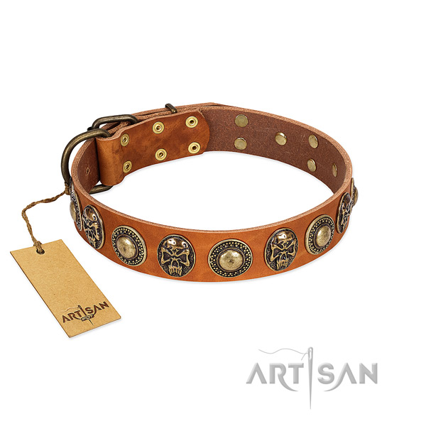 Handy Use Leather Dog Collar with Goldish Medallions