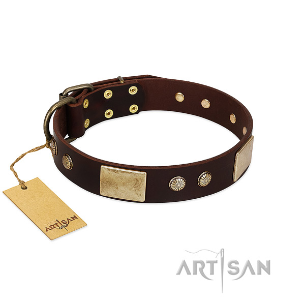 Modish Dog Collar Adorned with Plates and Studs