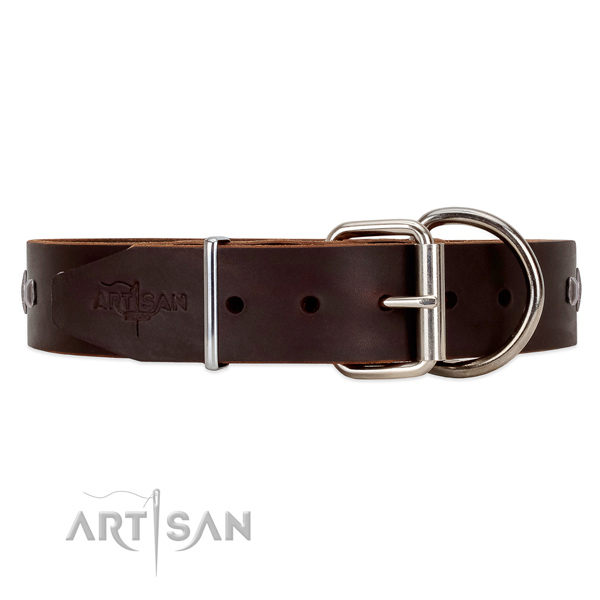 Strong leather dog collar with chrome plated hardware