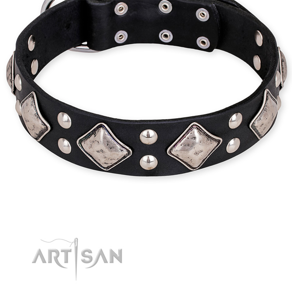 Reinforced black leather dog collar with rivets