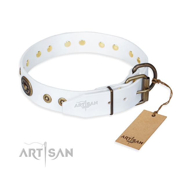 White leather dog collar with strong hardware