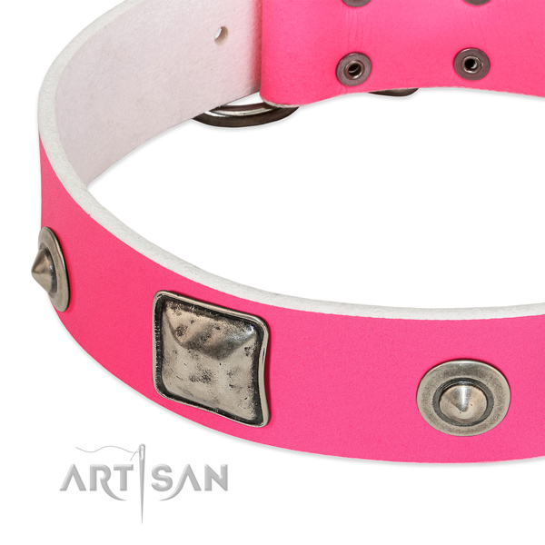 Set of plates and skulls handset on FDT Artisan dog
collar