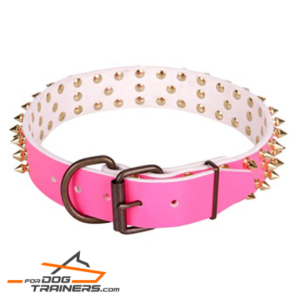 Studded leather dog collar with brass plated
fittings