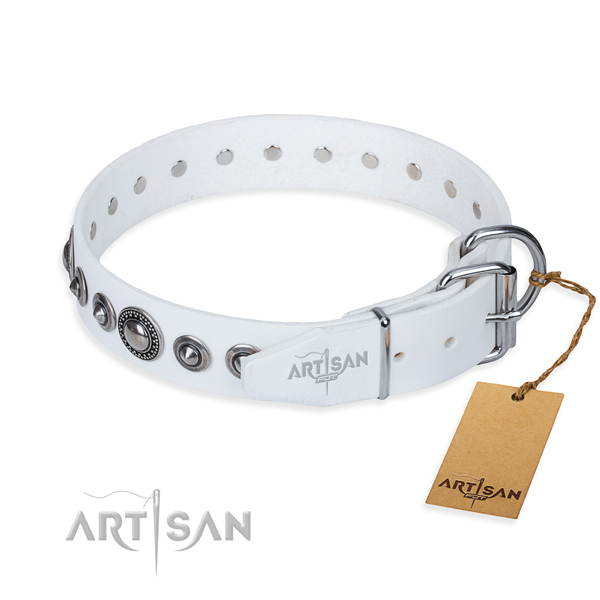 White leather dog collar with chrome plated buckle and D-ring