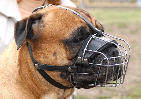 Wire Dog Muzzle Basket for Convenient Wearing while Walking or Training